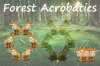 forest acrobatics fox.jpg forest acrobatics fox.jpg