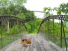 danbo bridge.jpg