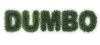dumbo grass.png