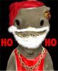 hoho.png