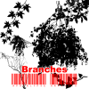 branches.png