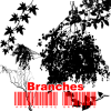 branches.png branches.png