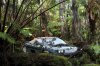hawaii-rainforest-national-parkcar.jpg hawaii-rainforest-national-parkcar.jpg