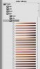 coloriage-skin_tones-some_of_their_gradient_maps.jpg