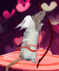 cupid zoey.png