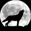 wolf-howling-full-moon.jpg wolf-howling-full-moon.jpg