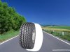 tire.jpg