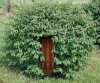 bushdooor.jpg