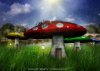 mushroom color.jpg
