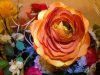 dried_flower_arrangement-iPhone4s_jpg-acr-ps02a_698px_wide-01.jpg