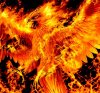 phoenix-fire-blaze-heat (3) d.jpg