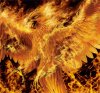 phoenix-fire-blaze-heat.jpg