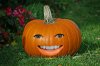 PumpkinFace_02.jpg PumpkinFace_02.jpg