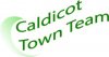 Caldicot Town Team Logo 1 (AR).jpg