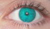 eye color.png eye color.png