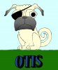 otis_the_pug copy.jpg
