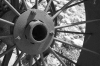 WheelB&W_01.png
