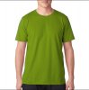 green tshirt.jpg