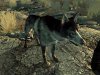 Dogmeat_FO3.jpg Dogmeat_FO3.jpg