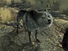 Dogmeat_FO3_02.jpg Dogmeat_FO3_02.jpg