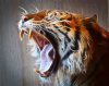 158867-tiger-face-roaring-drawing-roaring-tiger-steve-mckinzie.jpg