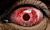 eye 2.jpg