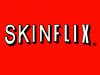 skinflix.jpg