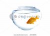 stock-photo-small-goldfish-in-a-fish-tank-with-bubbles-of-air-20706835.jpg
