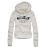 hollister-hoodies-for-menabercrombie-and-fitchhollistercheap-abercrombie-hoodies-sale-40-6f6jrc2.jpg