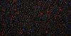 stars-color_determined_by_flag_layer-ps01a-01_Hubble_stars-xnv_698px_for_web.jpg