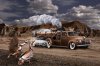Bronzing Ford Desert1400.jpg