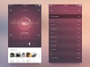 dribbble-preview_1x.png