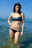 comparison-26145405-gorgeous-female-model-standing-in-the-sea-in-italy-stock-photo-b4_after_acr_.gif