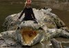 Nile-Crocodile-Photos.jpg