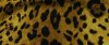 Leopard Skin.jpg