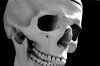 Human_skull_-_black_and_white-tjm01-acr-ps03a_698px_wide-2layers_8bpc-01_orig.jpg