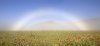 OlarBarndok_Fogbow_Landscapes.jpg