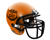 helmet fearthebeard2.png