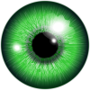 eye-162183_960_720.png