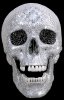s14175_skull%20diamond%20skull[2].jpg