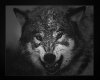 wolfsketch-test-2.jpg