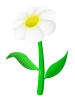 daisy2.png daisy2.png