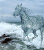 water horse.jpg