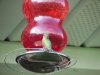 Hummingbird on Feeder.jpg Hummingbird on Feeder.jpg