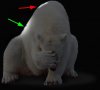 polar-bear.jpg