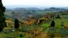 Autumn in Tuscany.jpg