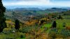 Autumn%20in%20Tuscany A.jpg