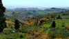 Autumn in Tuscany blue.jpg