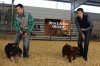 local stock show1.jpg
