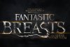 fantastic-a.jpg fantastic-a.jpg